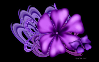 Purple flower black background abstract - a purple flower free wallpaper