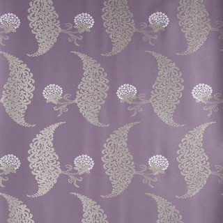 Purple white peacock flower wallpaper - purple free wallpaper