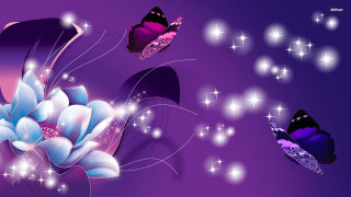 Purple background butterflies flower stars - star free wallpaper for desktop
