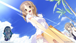 Girl white dress surfboard palm - a white dress holding free wallpaper