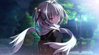 Girl white hair ponytail long - a white tail free wallpaper