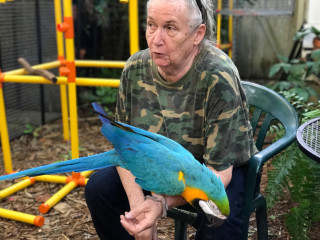 Man sitting chair holding parrot - a chair holding free wallpaper