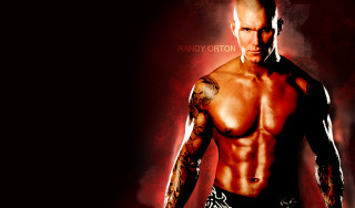 Man tattooed arm chest tattoo - his arm and chest free wallpaper