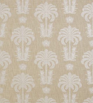 Beige white wallpaper palm trees - a beige free wallpaper