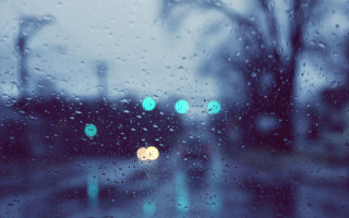 Rainy window street light trees 3 - beeple free wallpaper
