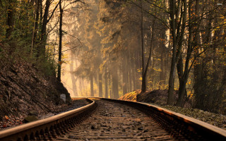 Train track forest trees foggy - depth of field free wallpaper
