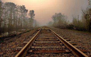 Train track foggy sky trees 2 - foggy free wallpaper