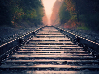Train track light trees foggy - the side of the track free wallpaper