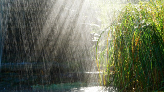 Sunbeam bamboo pond water bench 4 - a bench in the foreground free wallpaper