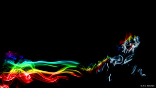Colorful dog black background white - tail free wallpaper