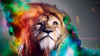 Lion colorful mane black nose 2 - a black nose free wallpaper