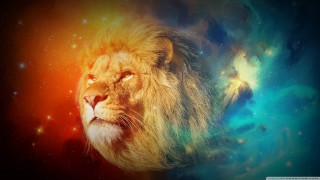 Lion colorful background stars sky 2 - the sky behind free wallpaper