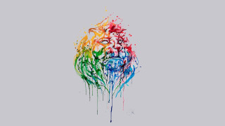 Colorful bird paint splatters face - paint splatter free wallpaper