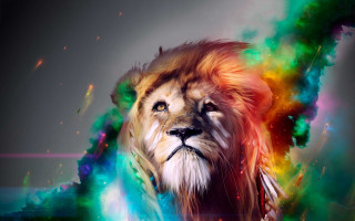 Lion colorful mane rainbow swirl - psychedelic art free wallpaper