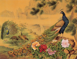 Peacock rock flowers bird waterfall - emperor huizong of song free wallpaper