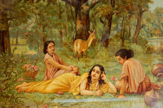 Women forest deer painting group - movie still frame free wallpaper