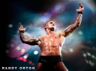 Man tattoo arms raised ring - his arm and chest free wallpaper