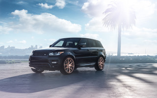 Black rover parking lot palm - a palm tree in the background free wallpaper