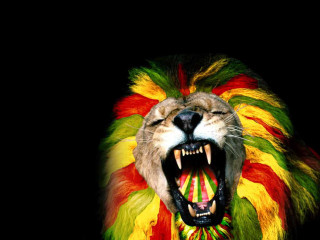 Lion mouth open roots fire - mouth wide open free wallpaper