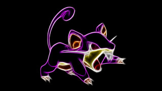 Cat tail like a tail - derf free wallpaper