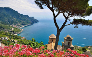 Tree flowers water mountains clouds - a body of water and mountains free wallpaper