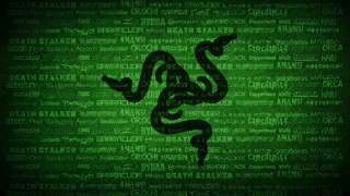 Green background black snake words - computer graphic free wallpaper