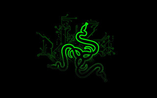 Green snake black background green 6 - body free wallpaper