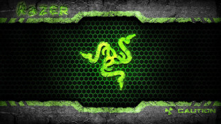 Green snake black background green 3 - a green snake free wallpaper