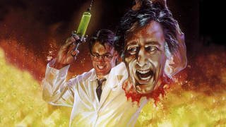 Two men green bottle bloody - the other hand free wallpaper