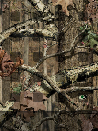 Tree leaves clock green eye - ecological art free wallpaper