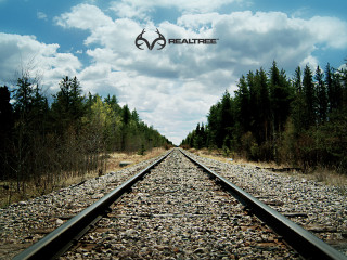 Train track sky trees beautee - david begbie free wallpaper