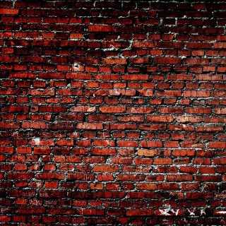 Red brick wall white black - stuckism free wallpaper