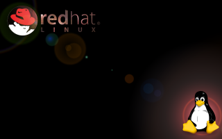 Linux computer art moon bird - dark background free wallpaper for desktop