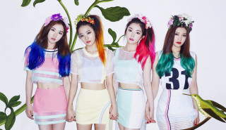 Three girls colorful hair plant - rich vivid color free wallpaper