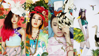 Woman flowers birds head collage - her head and a bird free wallpaper