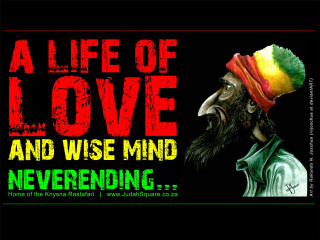 Bird hat love wise mind - excessivism free wallpaper