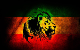 Lion mane red green yellow 2 - felipe seade free wallpaper