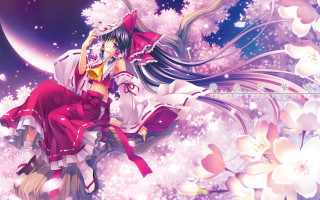 Woman red dress tree branch - a red dress free wallpaper