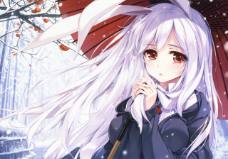 Girl white hair umbrella snow - an umbrella in the snow free wallpaper