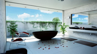 Bathroom black tub mirror plant - david chipperfield free wallpaper
