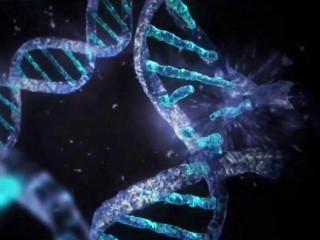 Blue green double stranded human - biopunk free wallpaper