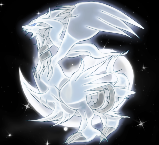White dragon black background full - holography free wallpaper