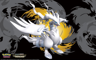 White pokemon yellow eyes wings - pokemon free wallpaper