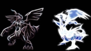 Two birds black background white - epic free wallpaper for desktop