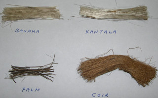 Hair types table moustache names - ecological art free wallpaper