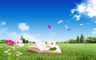 Book flowers grass sky clouds 3 - a book free wallpaper