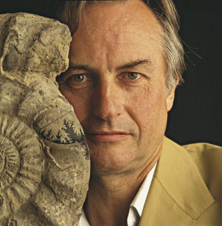 Man holding stone object serious - a portrait free wallpaper
