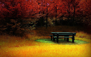 Bench field trees grass sunset - mystical color free wallpaper