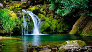 Waterfall forest mossy rocks trees 21 - impressionist free wallpaper