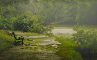 Rainy forest bench path river - evgeny lushpin free wallpaper